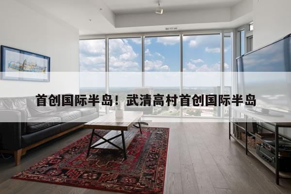 首创国际半岛！武清高村首创国际半岛